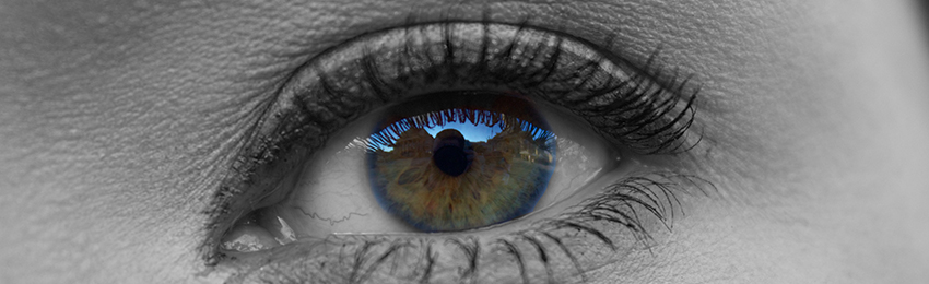 ���C���C���[�W�摜